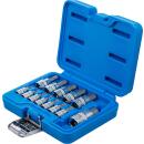 Bit-Einsatz-Satz, Antrieb Innenvierkant 6,3 mm (1/4 Zoll) / 10 mm (3/8 Zoll) / 12,5 mm (1/2 Zoll), Innensechskant 2 - 14 mm, 13-tlg.