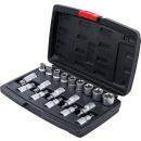 Bit-Einsatz-/Steckschlüssel-Satz, Antrieb Innensechskant 12,5 mm (1/2 Zoll), T-Profil (für Torx)/E-Profil, 19-tlg.