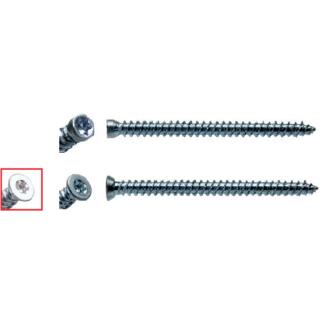 G&B Fensterrahmenschrauben (Mauerschrauben) Zylinderkopf verzinkt TX30 7,5x252 100 Stück