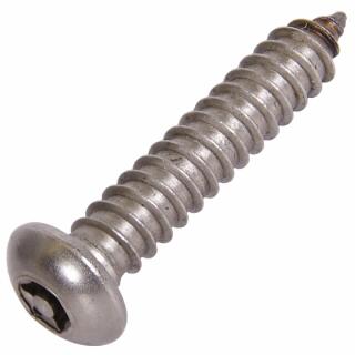 Flachrundkopf-Sicherheitsschrauben ähnl. DIN 7981 TX + Pin Edelstahl A2 Blechgewinde 6,3x19 100 Stück