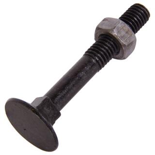 DIN 605 Senkschrauben Mu hoher Vierkantansatz Stahl blank inkl. Mutter M 10x40 100 Stück